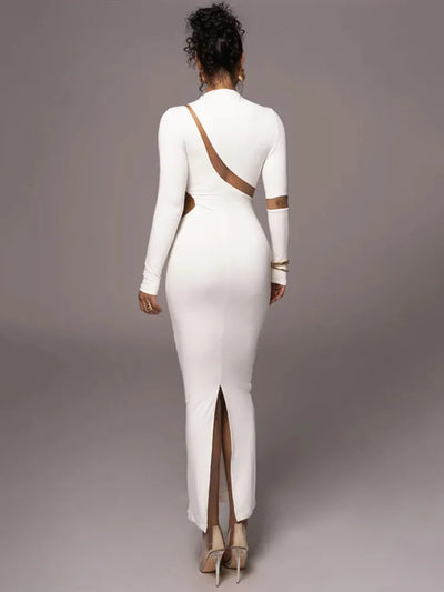 Turtleneck Long Sleeve Bodycon Maxi Dress