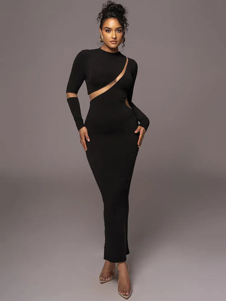 Turtleneck Long Sleeve Bodycon Maxi Dress Black / M Turtleneck Long Sleeve Bodycon Maxi Dress Black / M
